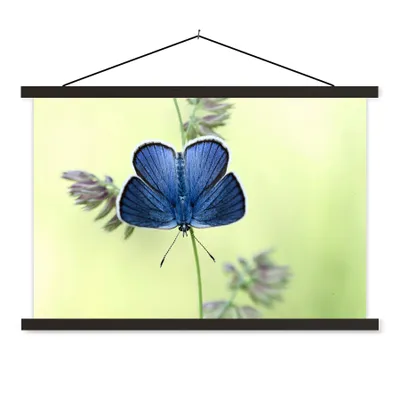 Produktbild von MuchoWow® Textilposter Blauer Schmetterling 150x100 cm mit schwarzem Rahmen - Schlafzimmer