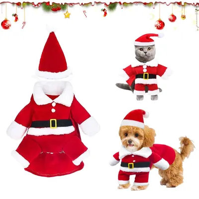 Obrázek produktu pro Kostým Kerstman pro psy – vhodný pro malé psy