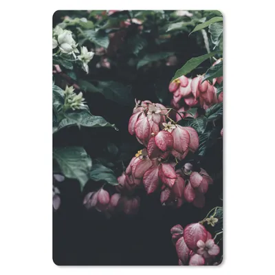 Produktbild von MuchoWow® Mauspad Mousepad Blumen - Wasser - Rosa 18x27 cm - Mousepads - Maus Mat - Pad - Mausunterlage