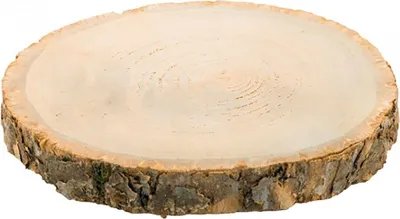 Holzscheibe Baumscheibe Deko Hochzeit 1 Stück Tischdeko Geburtstag Basteln DIY