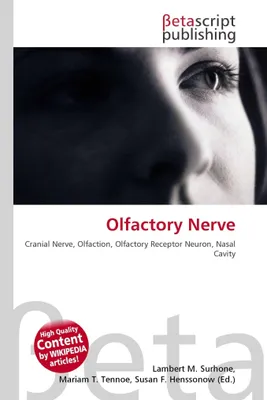 Produktbild von Olfactory Nerve
