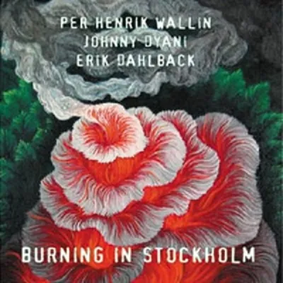 Produktbild von Wallin,H.W/Dyani,J.& Dahlback,E.-Burning In Stockh