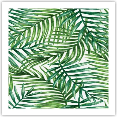 Produktbild von Poster - Poster ohne Rahmen - Palme Blatt grün - 60x60 cm - Wand Bild - Wanddeko - Wandbilder - Kunstposter - Wandposter - Bilder - Kunstdruck - Wanddekoration - Wandbild - P2XAC60x60-3777