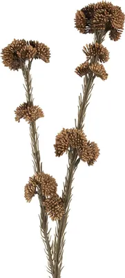 Image de Clayre & Eef Fleur artificielle 6x6x58 cm Marron Plastique