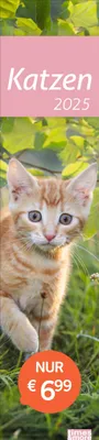 Produktbild von Katzen Langplaner 2025
