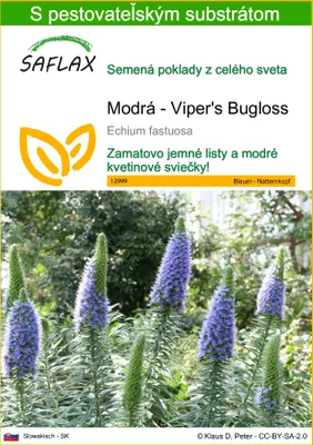 Obrázok produktu pre SAFLAX - Modrá - Viper's Bugloss - Echium fastuosa - 100 Semená - S pestovateľským substrátom bez klíčkov