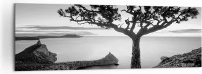 Produktbild von Bild auf Leinwand - Leinwandbild - Einteilig - Baum Schwarzweiß Ansicht - 160x50cm - Wand Bild - Wanddeko - Wandbilder - Leinwanddruck - Bilder - Wanddekoration - Leinwand bilder - AB160x50-4297