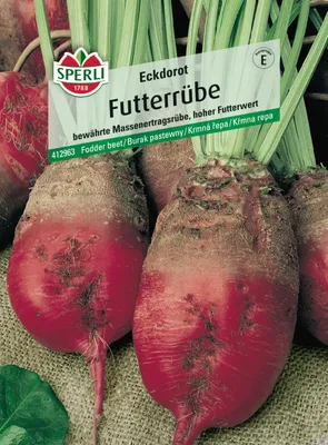 Produktbild von Sperli Saatgut Futterrüben Eckdorot für bis zu 70 lfd. Meter