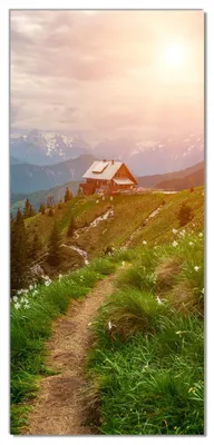 Produktbild von Türtapete Türposter Bergpfad zur Almhütte - Größe: 93 x 205 cm