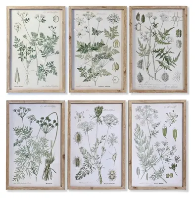 Bild mit Rahmen, grün/beige, Glas & Fichtenholz, 40x2x60 cm