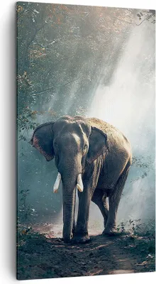 Produktbild von Bild auf Leinwand - Leinwandbild - elefant natur - 45x80cm - Wand Bild - Wanddeko - Wandbilder - Leinwanddruck - Bilder - Kunstdruck - Wanddekoration - Leinwand bilder - Wandkunst - PA45x80-3972
