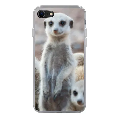 Produktbild von MuchoWow® Handyhülle Schutzhülle Hülle für iPhone SE 2022 Neugierige Erdmännchen Silikon Softcase Handy Hülle - Schutzhülle