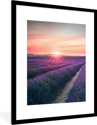 Produktbild von MuchoWow® Gerahmtes Poster Lavendel - Lila - Blumen - Himmel 60x80 cm - Poster mit Schwarzem Bilderrahmen Wandposter Rahmen Foto Bilder - Wohnzimmer - Dekorationen - Prämie