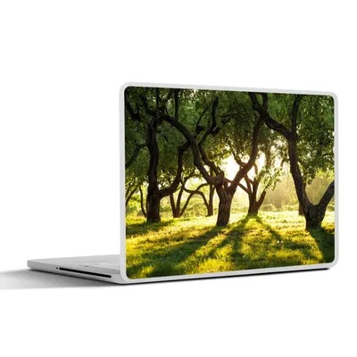 Produktbild von MuchoWow® Laptop Aufkleber Sticker Cover Bäume - Natur - Sonne 31x22.5 cm - Laptop-Deko