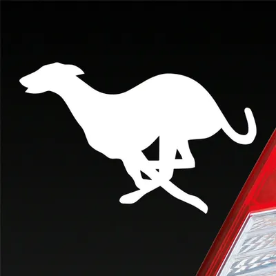 Produktbild von Auto Aufkleber Windhund Hund Dog Animal Tier 12x7,5 cm Weiss Matt Sticker Heckscheibenaufkleber