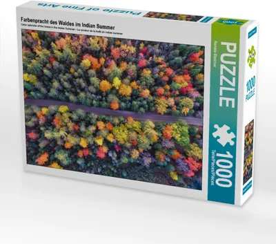 Produktbild von CALVENDO Puzzle Farbenpracht des Waldes im Indian Summer | 1000 Teile Lege-Größe 64x48cm Foto-Puzzle für glückliche Stunden