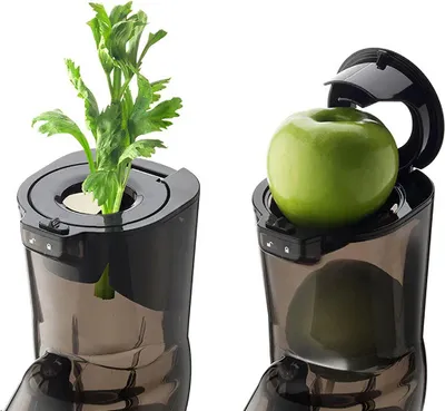 A split image showing the top part of a juicer with celery in one half and an apple in the other.