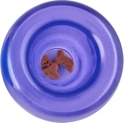 Produktbild von Planet Dog Orbee-Tuff Snoop Lil' Snoop purple / royal blue, Farbe:purple