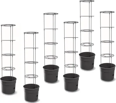 Produktbild von 6x Tomatenpflanze aus Kunststoff Set 6 Stk Pflanzkübel 12 L Tomatenzüchter Tomatentopf Übertopf Gemüsen Tomaten Waschen