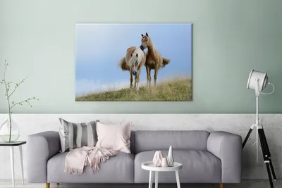 Produktbild von OneMillionCanvasses® - Leinwandbilder - 140x90 cm, Haflingerpferde auf der Wiese, Wandbilder Kunstdruck Wanddekoration