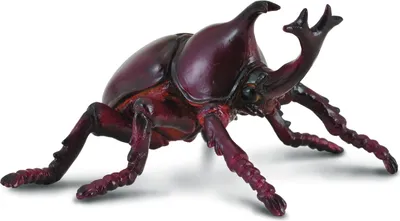 Immagine prodotto di COLLECTA Rinoceronte Rinoceronte