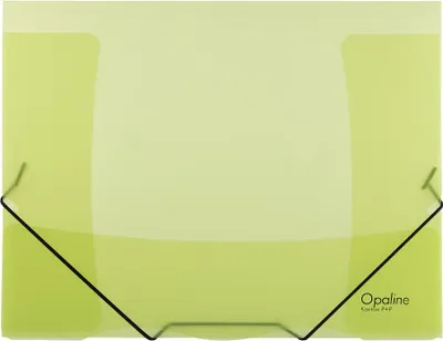 Produktbild von Plastový obal s gumičkou Karton PP Opaline, zelený