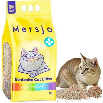 Image de Litière pour chat bentonite PH CONTROL 10l