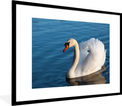Produktbild von MuchoWow® Gerahmtes Poster Schwan - Wasser - Vogel - Weiß 80x60 cm - Poster mit Schwarzem Bilderrahmen Wandposter Rahmen Foto Bilder - Schlafzimmer-Dekorationen - Fotoposter