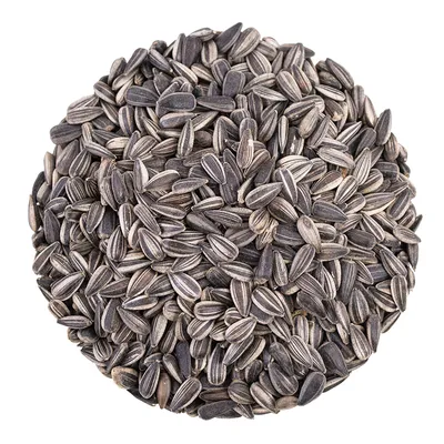 A pile of sunflower seeds.