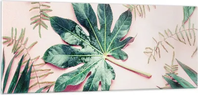 Produktbild von Bilder auf glas - Einteilig - Blatt Tropisch Palme - 100x40cm - Glasbilder - Wandbilder - Bilder - zum Aufhängen bereit - Wanddekoration aus Glas - Glas Bilder - Wandbild auf Glas - GAB100x40-4314