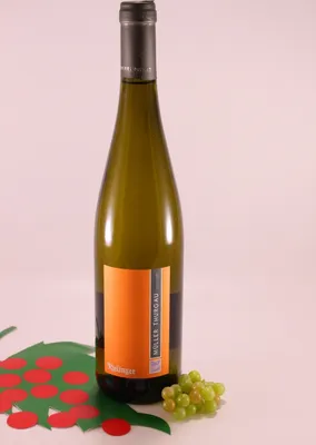 Produktbild von Müller Thurgau - 2023 - Weingut Rielinger Südtirol