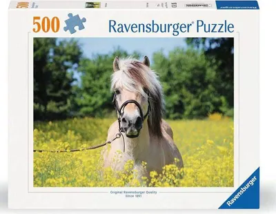 Produktbild von RAVENSBURGER Puzzle Plavý ků ň  500 dílků