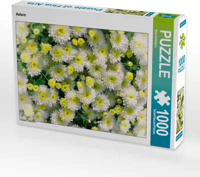 Produktbild von CALVENDO Puzzle Astern | 1000 Teile Lege-Größe 64x48cm Foto-Puzzle für glückliche Stunden
