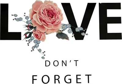 Produktbild von Love Don't Forget Rose Bügelanwendung