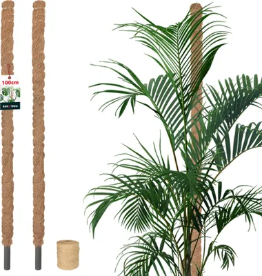 Zdjęcie produktu dla KOTARBAU® Zestaw 2 tyczek z mchu do Monstera Coconut Natural ?2,5 x 100 cm tyczka do roslin pomoc do wspinaczki dla roslin Monstera tyczka kokosowa tyczka do roslin tyczka do wspinaczki Tyczka z mchu Monstera pomoc do wspinaczki tyczka do kwiatów Tyczka z mchu + sznurek