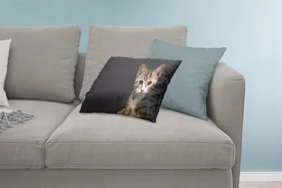 Produktbild von MuchoWow® Zierkissen Sofakissen Wohnzimmer Dekokissen 60x40 cm Katze - Schwarz - Porträt - Kopfkissen - Polster mit Foto