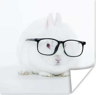 Produktbild von MuchoWow® Poster Kaninchen - Brille - Hipster 75x75 cm - Wand Dekoration