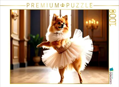 Produktbild von CALVENDO Puzzle Wenn dein Hund das Tanzen entdeckt | 1000 Teile Lege-Größe 64x48cm Foto-Puzzle für glückliche Stunden