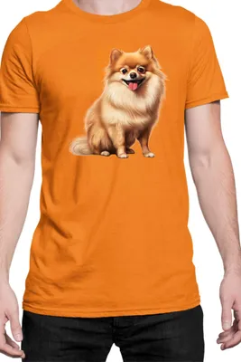 Immagine prodotto di Maglietta da uomo Dogs Breeds Pomeranian Dog Breed 006, Man M , Orange