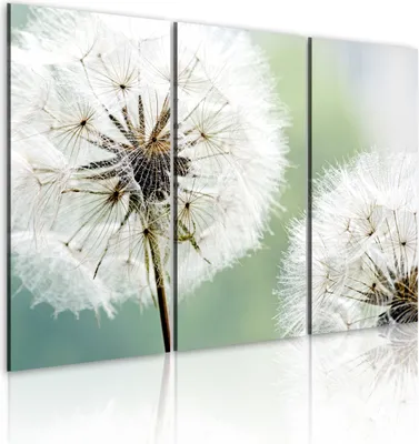 Produktbild von Modernes Wandbild 030210- 16 (120x80) - 3 Teilig Bilder Fotografie auf Vlies Leinwand Foto Bild Dekoration Wand Bilder Kunstdruck Blumen