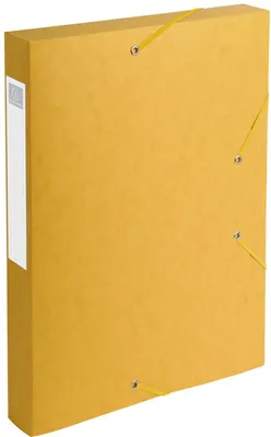 Image de EXACOMPTA Boîte de classement Cartobox DIN A4 40 mm jaune