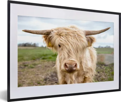 Produktbild von MuchoWow® MuchoWow® Gerahmtes Poster Schottische Hochlandrind - Licht - Landschaft 60x40 cm - Poster mit zchwarzem Bilderrahmen - Schlafzimmer - Plakat in Rahmen - Drucken