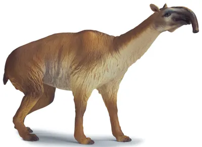 Produktbild von schleich Macrauchenia, 3 Jahr(e), Braun, Kunststoff