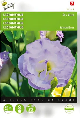 Produktbild von Lisianthus Sky Blue | Blumensamen von Buzzy Seeds