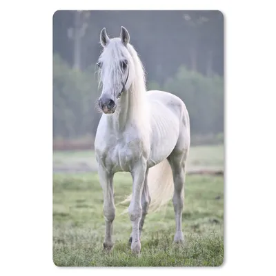 Produktbild von MuchoWow® Mauspad Mousepad Pferd - Licht - Morgen 40x60 cm - Mousepads - Maus Mat - Pad - Mausunterlage - Schreibtisch Accesoire