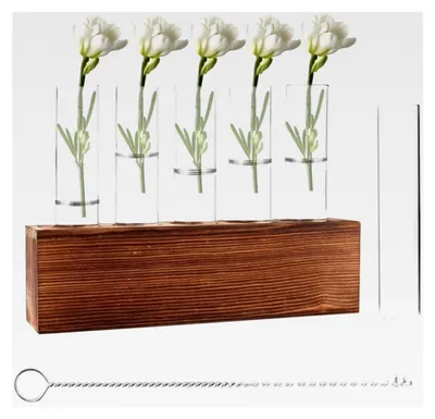 Produktbild von 6 Reagenzgläser Blumenvase, Vermehrungsstation für Pflanzen mit Reinigungsbürste, kleine Vasen mit Holzständer, Hydroponik Pflanzen für Tisch, Zuhause, Büro, Wohnzimmer