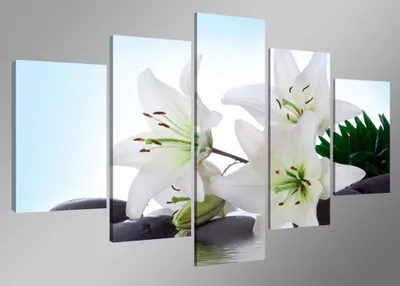 Produktbild von 5504 Weiße Lilien Leinwandbild 5-teilig 160x80 cm