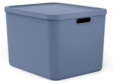 Zdjęcie produktu dla Rotho Albula Multibox 55 l, niebieski