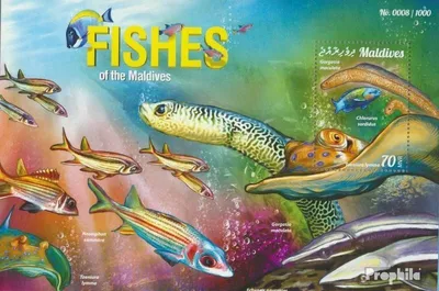 Produktbild von Briefmarken Malediven 2015 Mi Block 874 (kompl. Ausg.) postfrisch Fische der Malediven