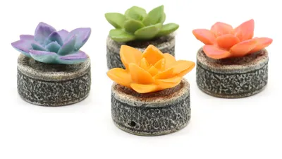 Produktbild von Dekorative Sukkulente für Aquarien, aus Kunstharz, 7 x 6 x 5,5 cm
